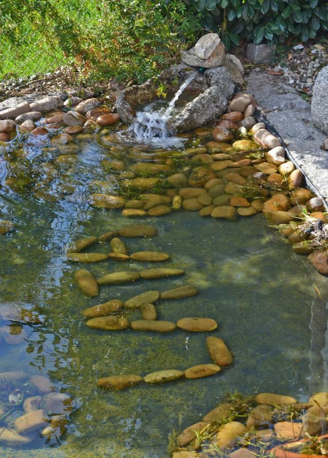 Pensjonat Casa De Campo Sossego Da Lata Fafe Zewnętrze zdjęcie